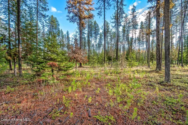 $390,000 | Lot 1 Reeder Bay Road, Nordman, ID 83848