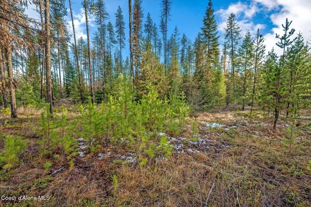 $390,000 | Lot 1 Reeder Bay Road, Nordman, ID 83848