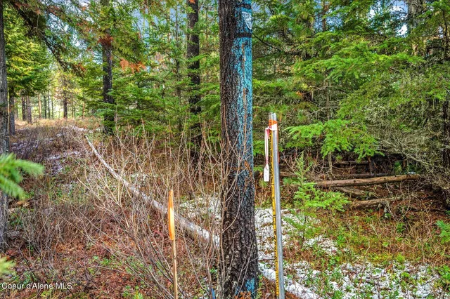 $390,000 | Lot 1 Reeder Bay Road, Nordman, ID 83848