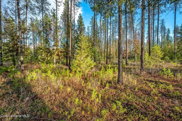 $390,000 | Lot 1 Reeder Bay Road, Nordman, ID 83848