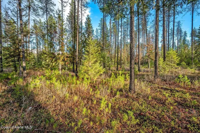 $390,000 | Lot 1 Reeder Bay Road, Nordman, ID 83848