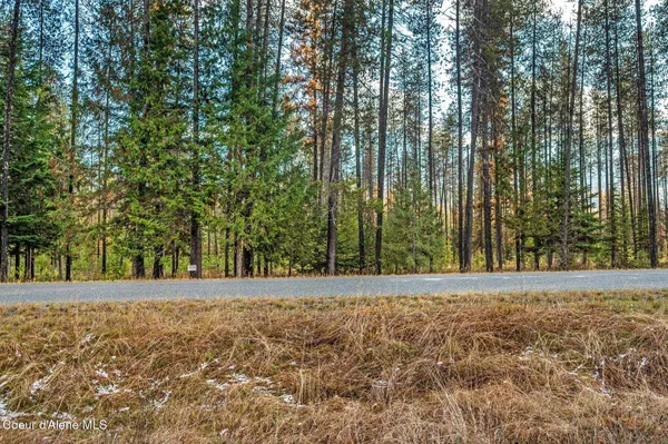 $390,000 | Lot 1 Reeder Bay Road, Nordman, ID 83848