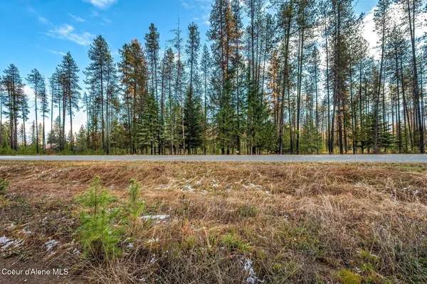 $390,000 | Lot 1 Reeder Bay Road, Nordman, ID 83848