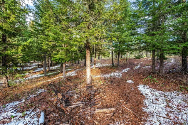 $390,000 | Lot 1 Reeder Bay Road, Nordman, ID 83848