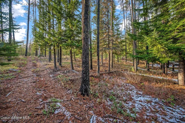 $390,000 | Lot 1 Reeder Bay Road, Nordman, ID 83848