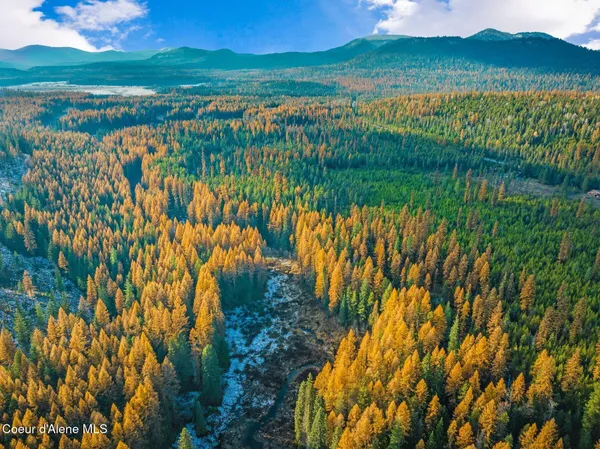 $390,000 | Lot 1 Reeder Bay Road, Nordman, ID 83848