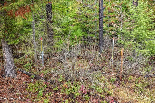 $390,000 | Lot 1 Reeder Bay Road, Nordman, ID 83848