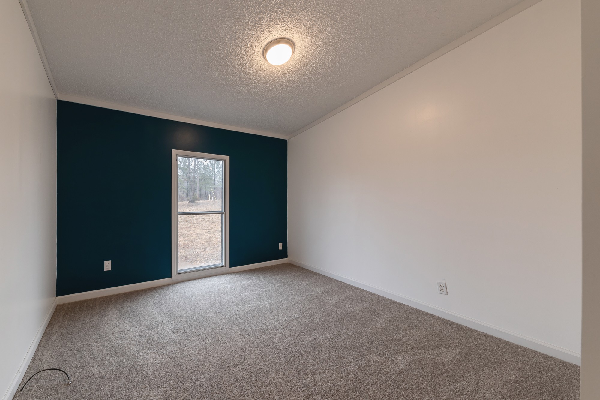 1029 Nancy Shawl Road Dickson, TN 37055 - Photo 22 of 36 Gallery Image 22