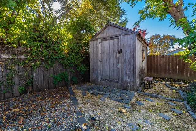 a view of a backyard with plants and tree