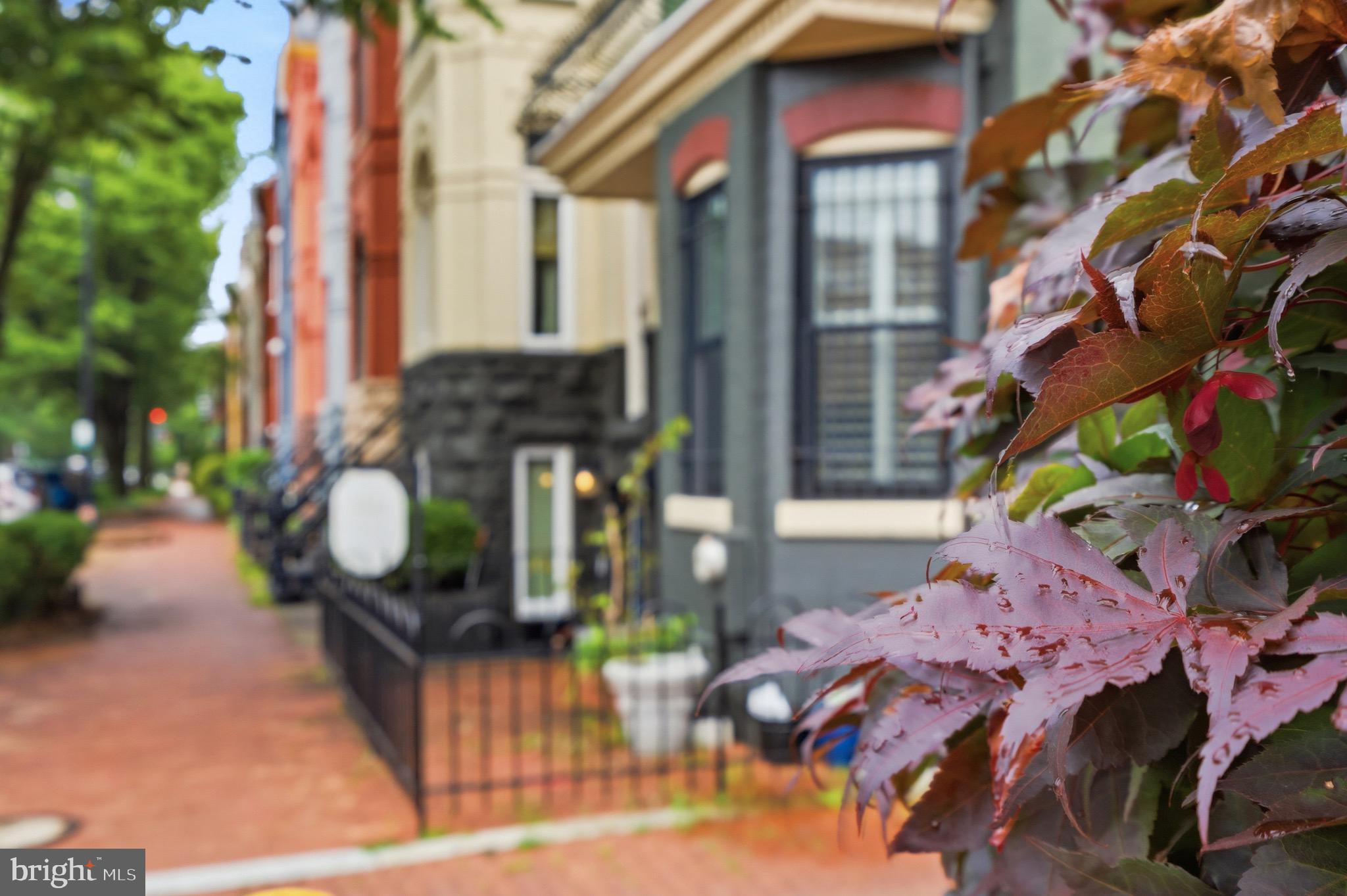 230 11th Street Southeast Washington, DC 20003 - Photo 4 of 63