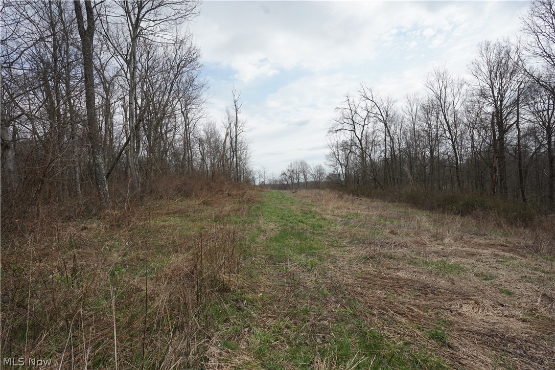 56835 Stephens Road Jacobsburg, OH 43933 - Photo 31 of 50