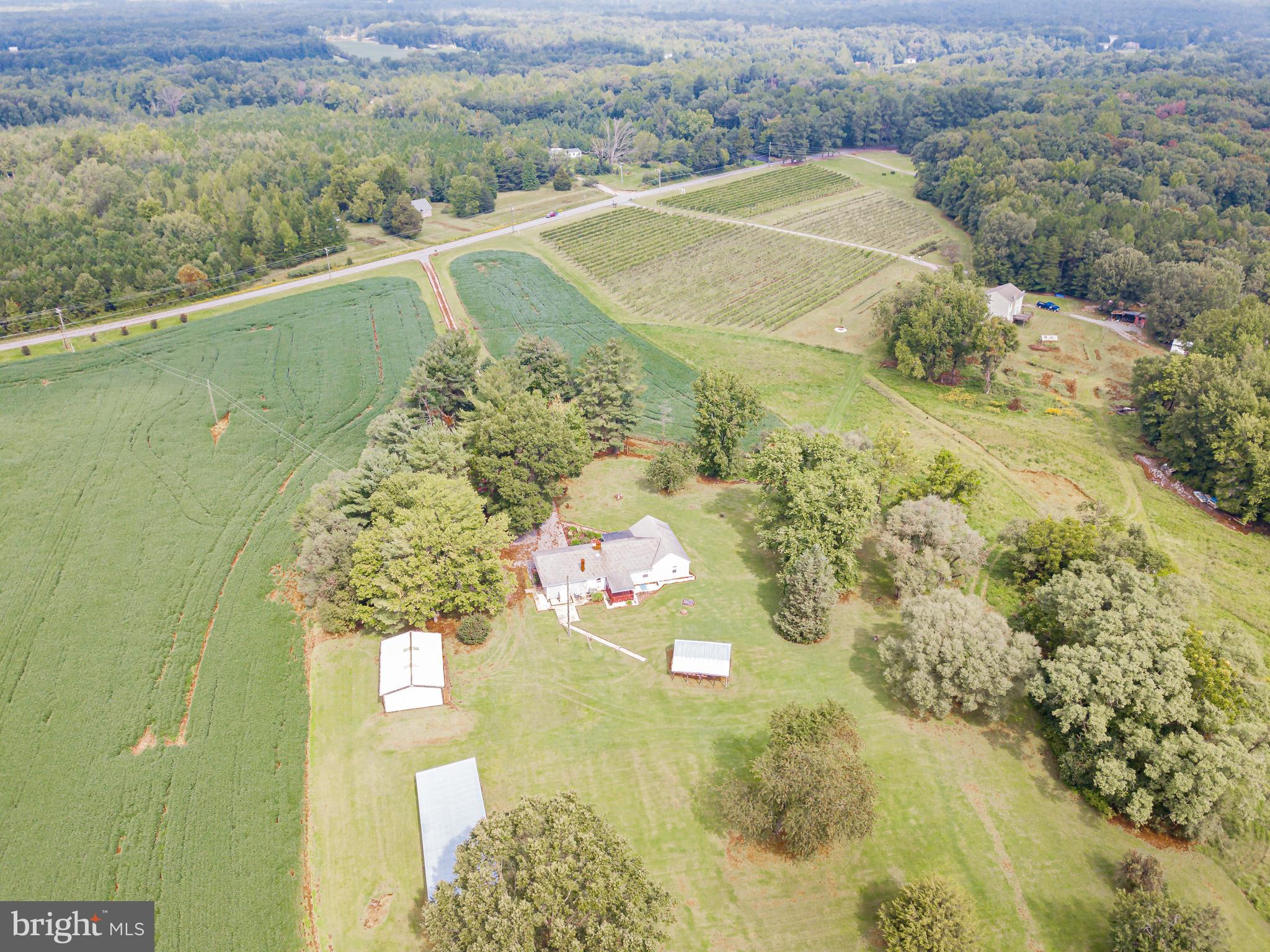 4436 Ladysmith Road Ruther Glen, VA 22546 - Photo 4 of 10