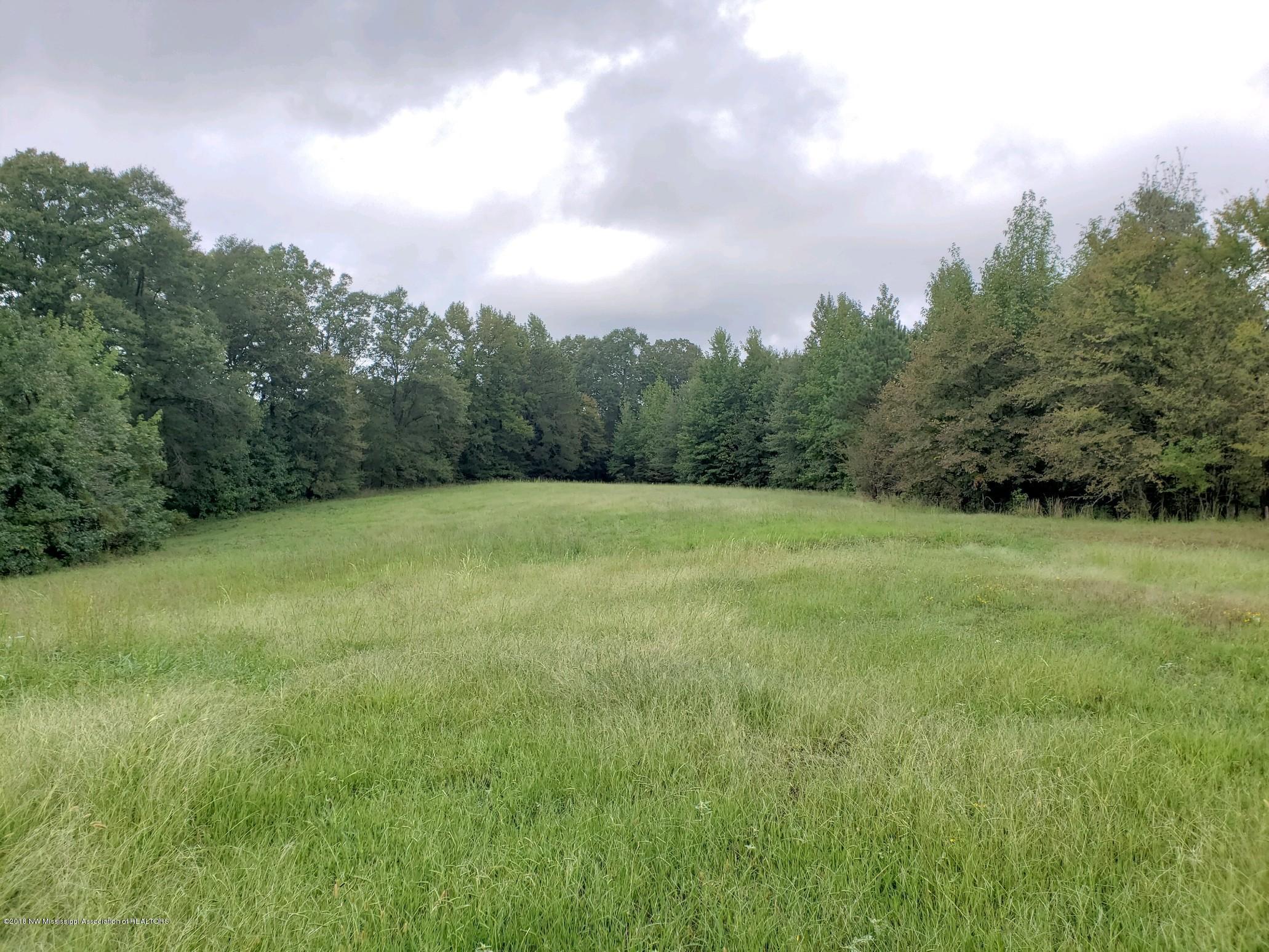 0 Donaldson Road Coldwater, MS 38618 - Photo 1 of 19 20180924_105841