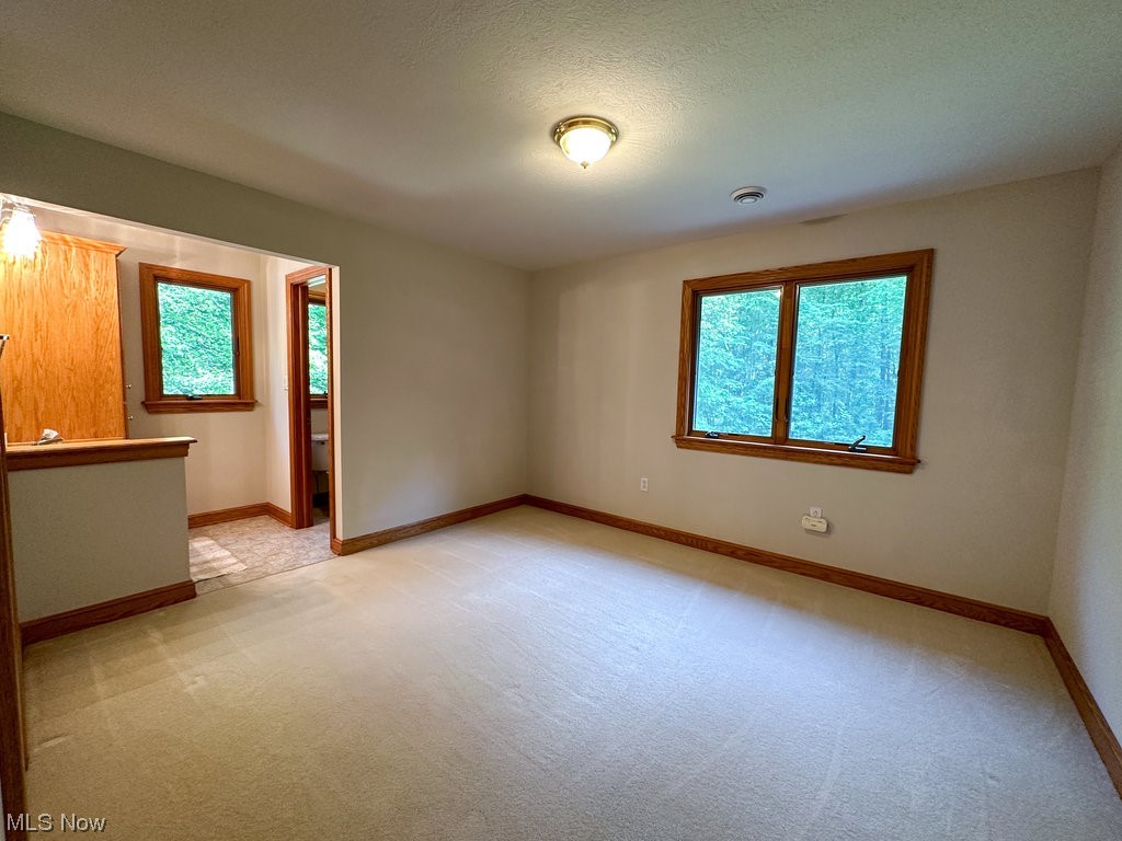 48323 Russia Road Amherst, OH 44001 - Photo 22 of 35 Gallery Image 22