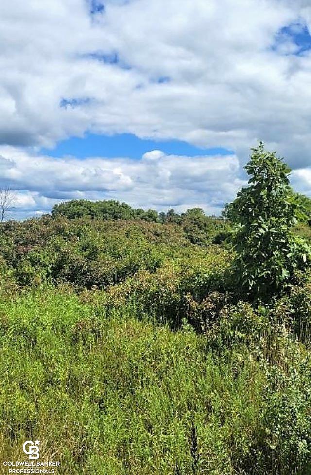 0 Brown City Road Imlay City, MI 48444 - Photo 7 of 10