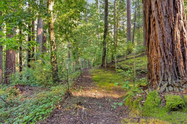 $769,000 | 1079 Scenic Drive, Felton, CA 95018