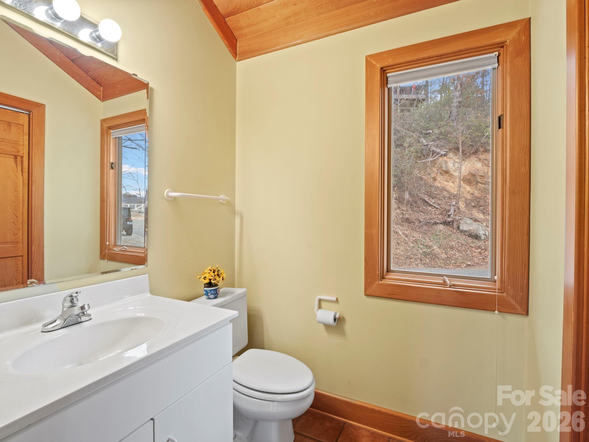 336 Burnt Ridge Road Lake Lure, NC 28746 - Photo 22 of 45 a bathroom with a sink and a toilet
