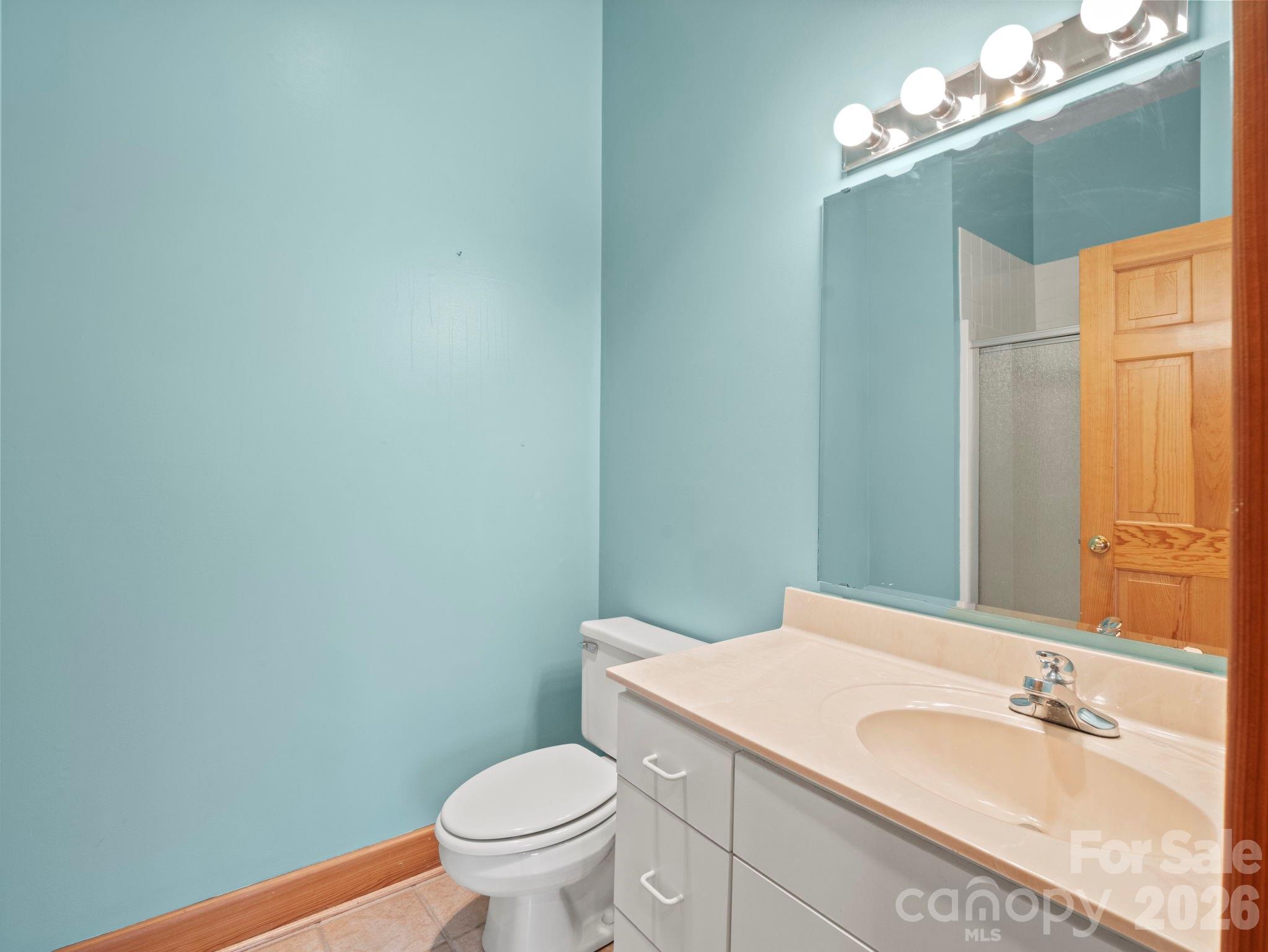 336 Burnt Ridge Road Lake Lure, NC 28746 - Photo 37 of 45 a bathroom with a sink a toilet and a mirror