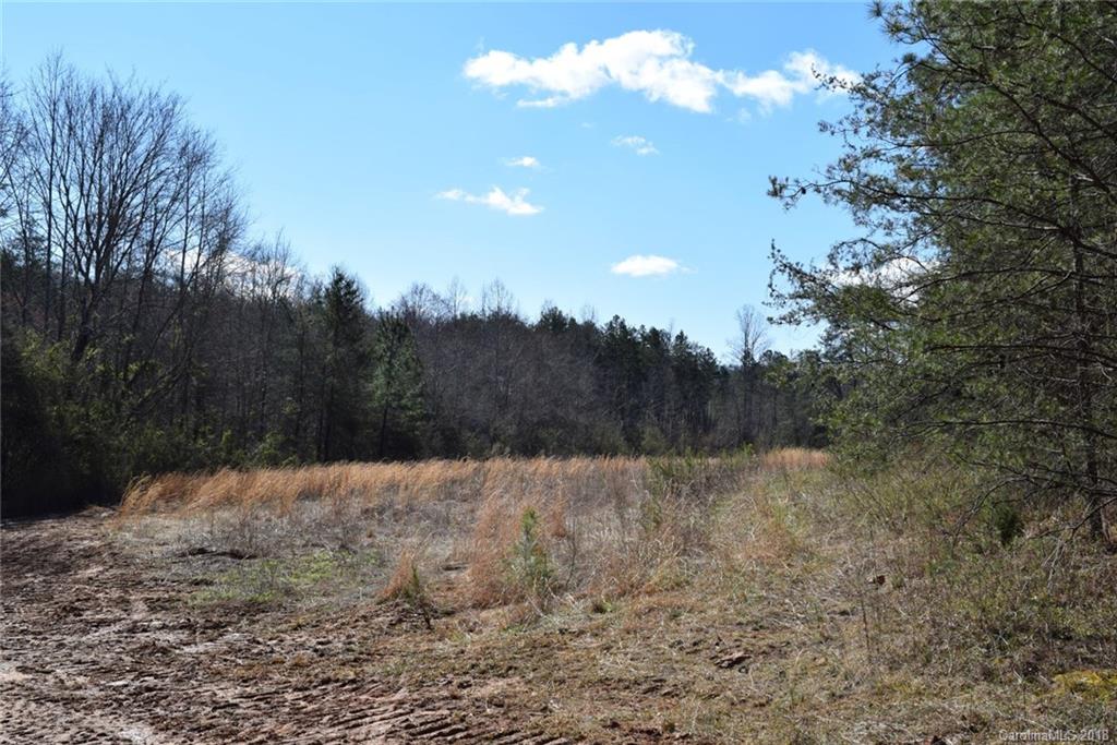 259 Square Hardin Road Rutherfordton, NC 28139 - Photo 14 of 22 Gallery Image 14