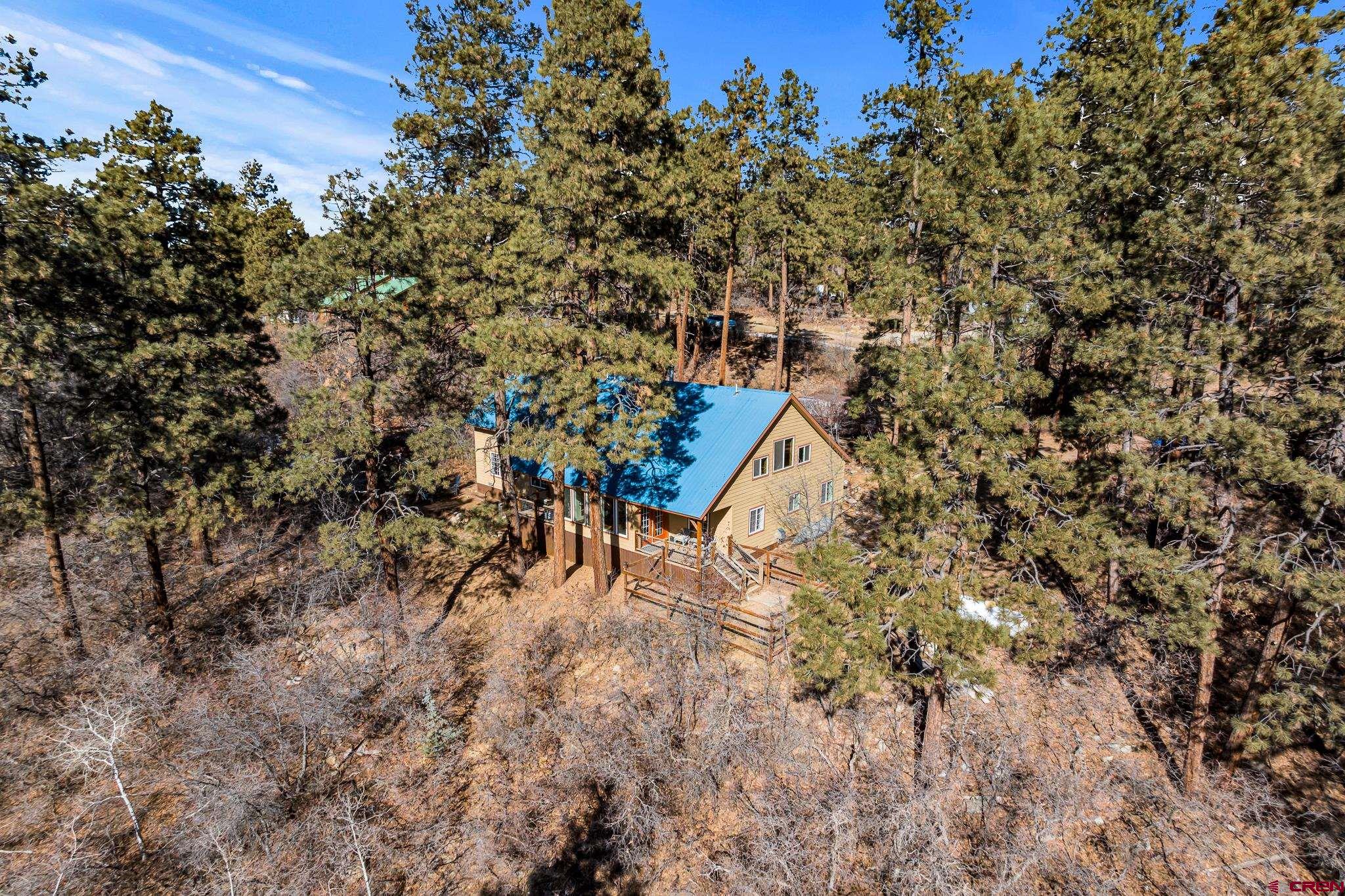 700 Blue Ridge Drive Bayfield, CO 81122 - Photo 30 of 30 a bird view of building