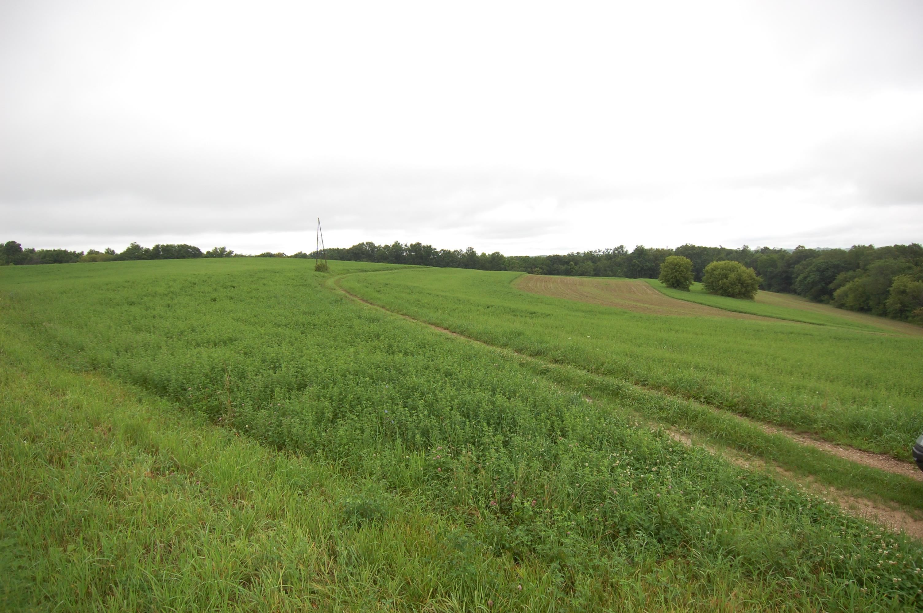 999 Halverson Ridge Soldiers Grove, WI 54655 - Photo 4 of 8