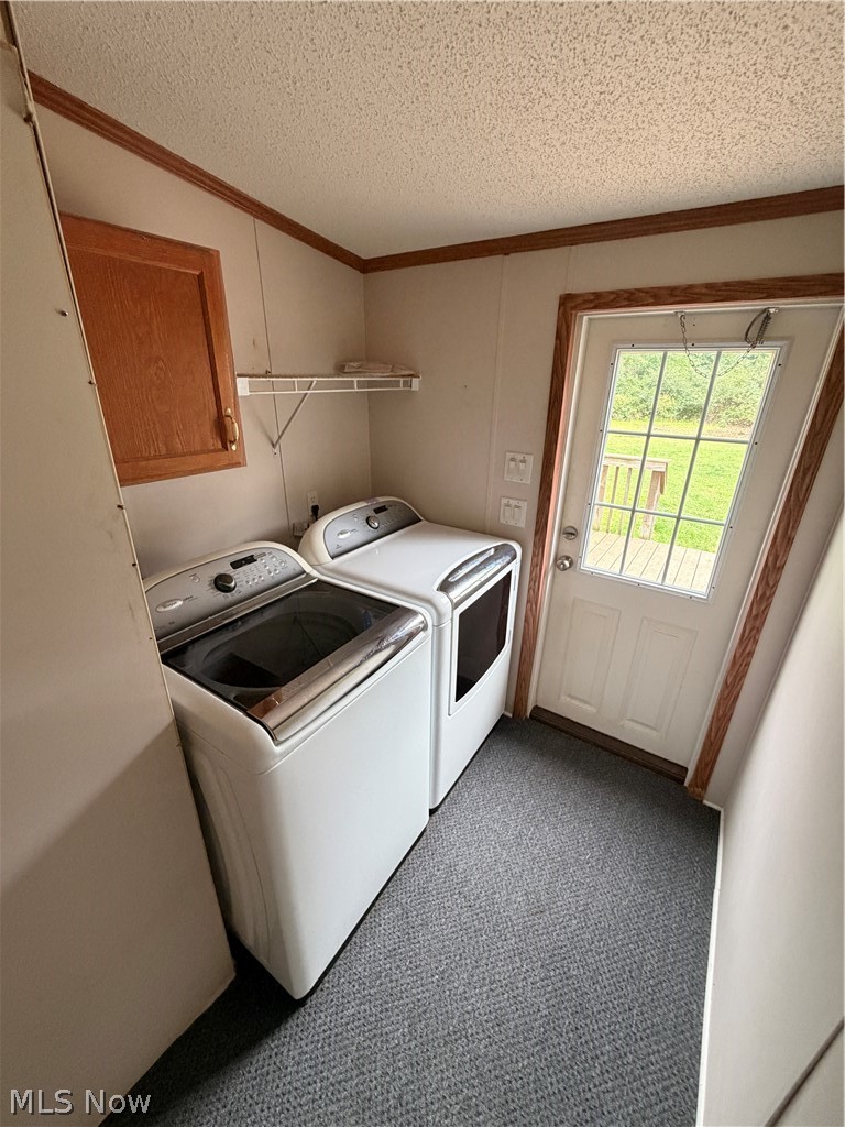 7213 Davis Road Orwell, OH 44076 - Photo 19 of 24 Utility/laundry room with overhead wood-finish cabinetry, wire shelving, and a glass-paned exterior door