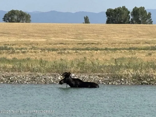 $995,000 | Lot 5 Boundless Sky Drive, Tetonia, ID 83452