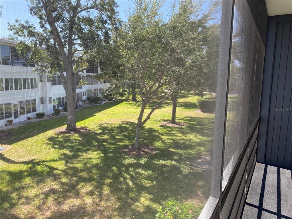 8455 112th Street North, Unit 212 Seminole, FL 33772 - Photo 15 of 21 a view of yard with large trees