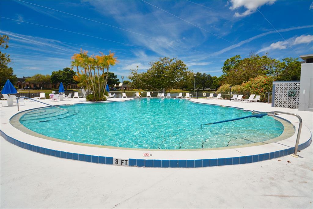 8455 112th Street North, Unit 212 Seminole, FL 33772 - Photo 17 of 21 a view of a swimming pool with a yard