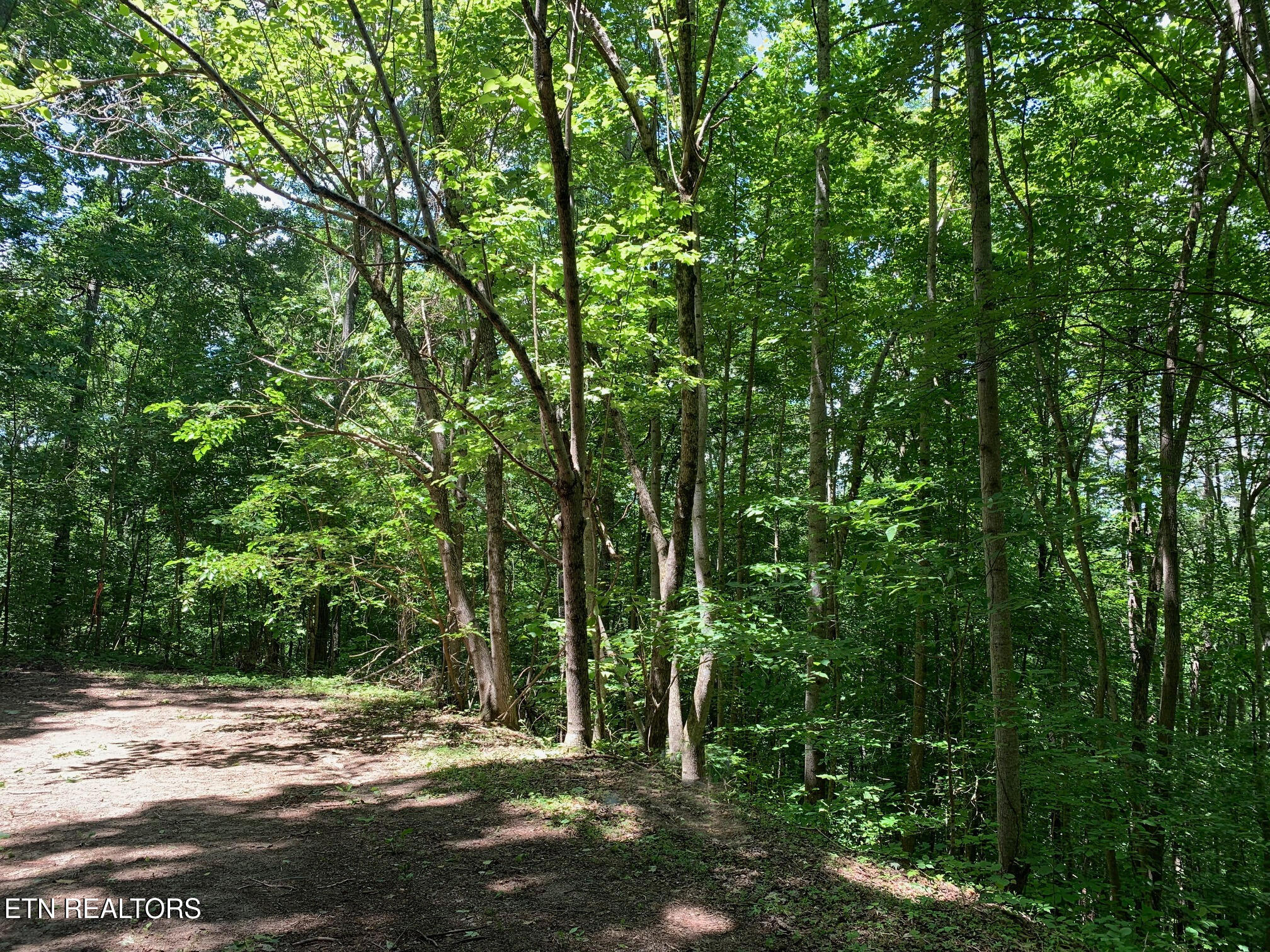 South Cove Road Maynardville, TN 37807 - Photo 6 of 9 8
