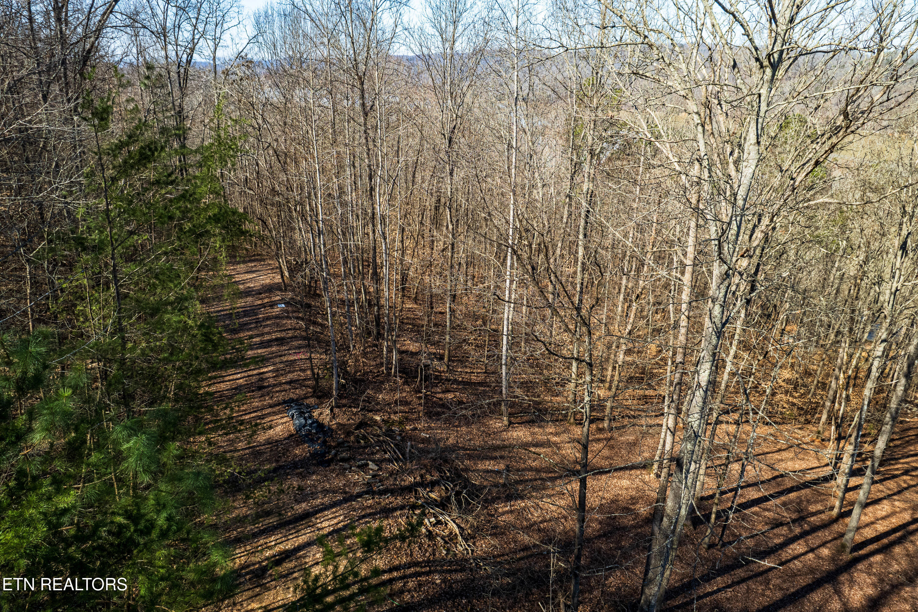 South Cove Road Maynardville, TN 37807 - Photo 7 of 9 2