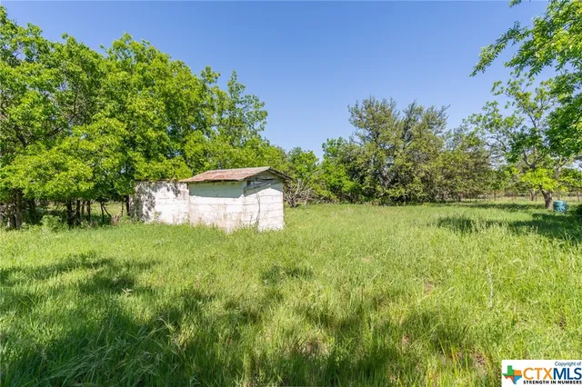 a view of a lush green space