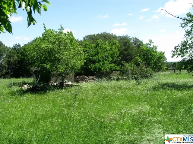 a view of a field of grass and trees