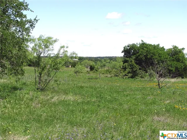 a view of a field with an trees