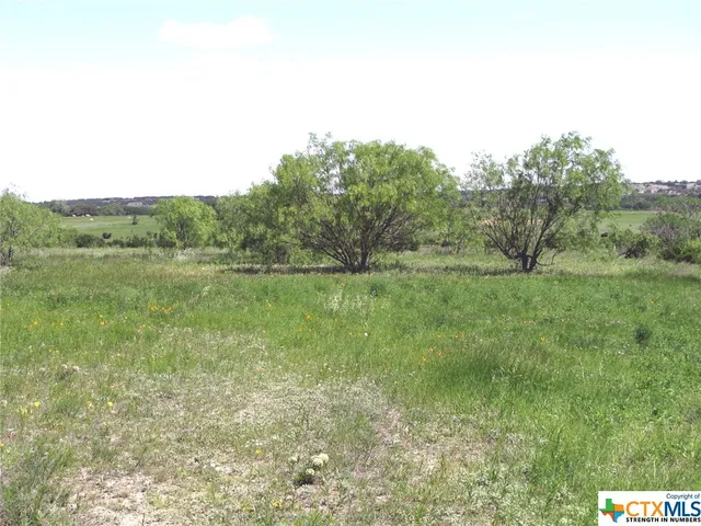 $459,303 | 6630 Fm 183, Evant, TX 76525