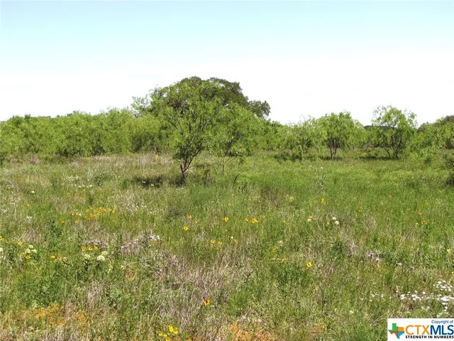 $459,303 | 6630 Fm 183, Evant, TX 76525