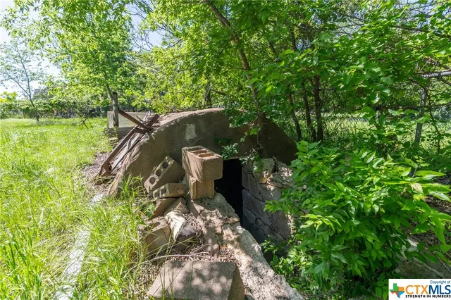 a view of a garden with plants and large trees