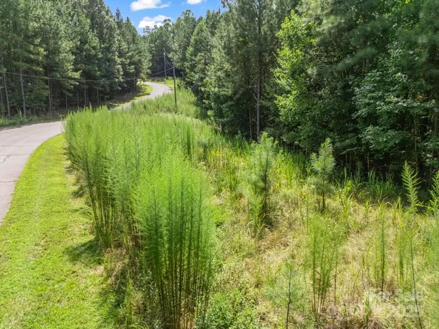 a view of a garden from a lake