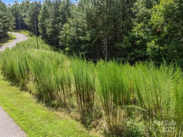a view of backyard with green space