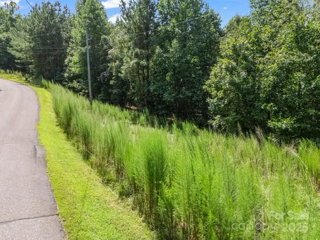 a view of a lake with a yard