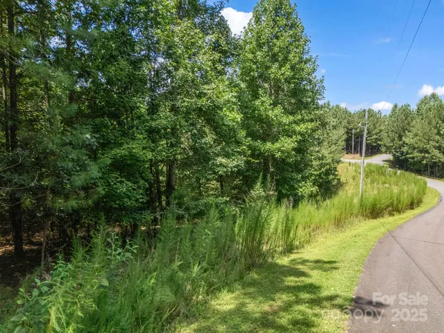 a view of a green field with a tree