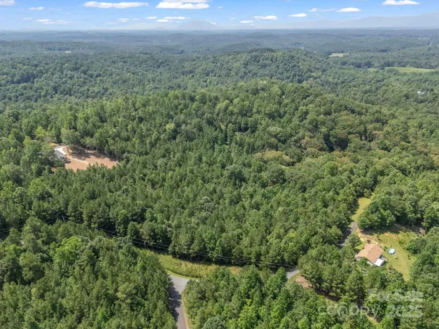 a view of a green field with lots of bushes