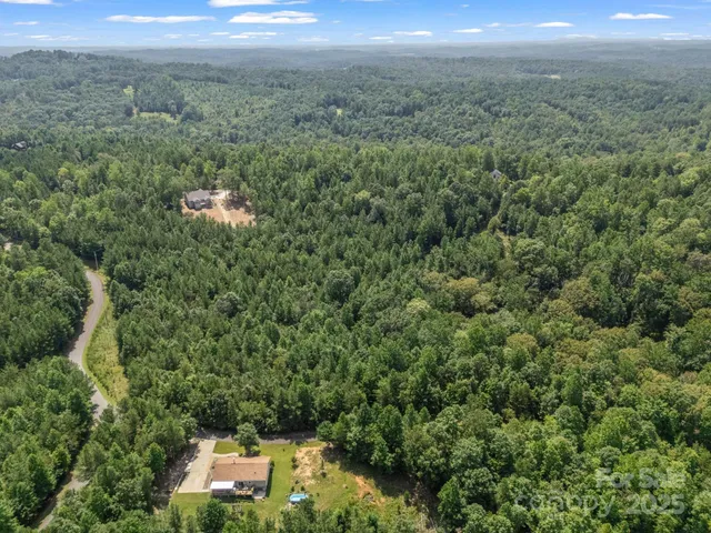 a view of a city with lush green forest