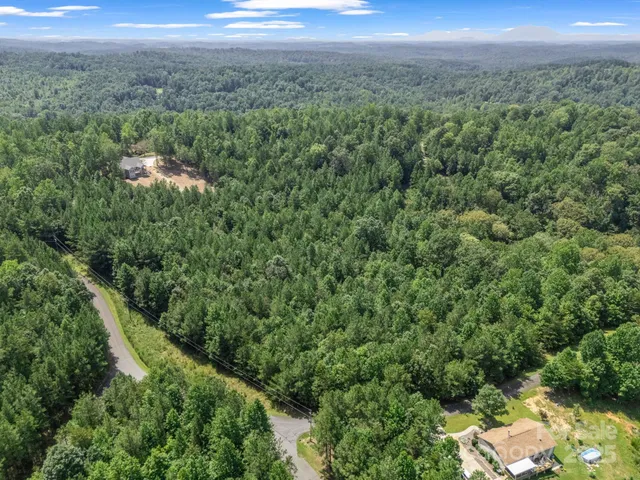 a view of a lush green forest with a street