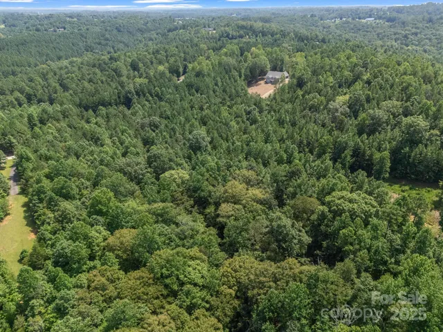 a view of a city with lush green forest