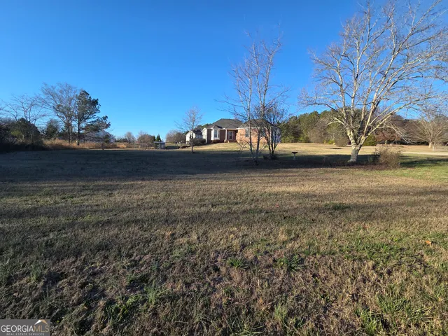a view of a yard with an outdoor space