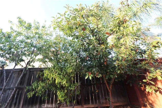 view of backyard with wooden fence and large trees