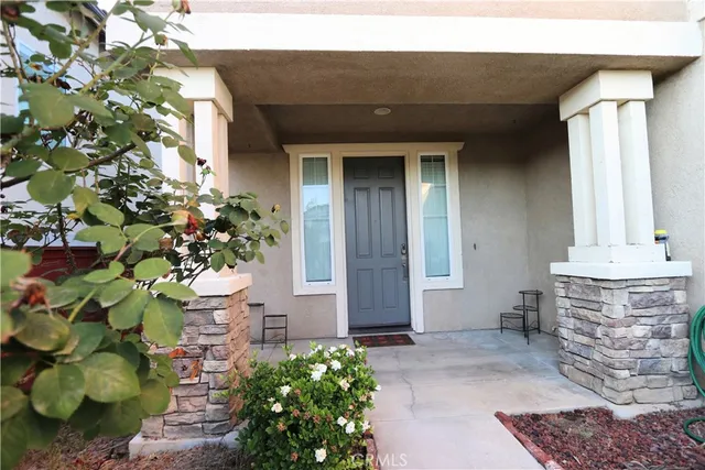 a potted plant sitting in front of a house