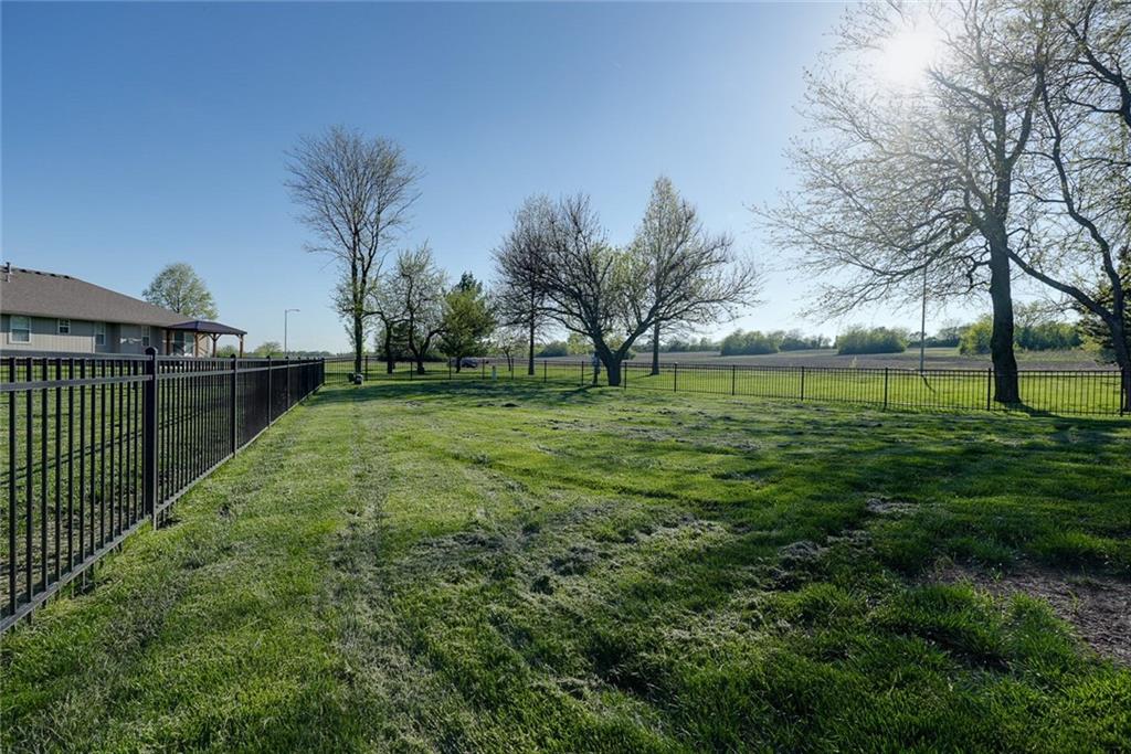 2010 Prairie Grass Drive Raymore, MO 64083 - Photo 49 of 53
