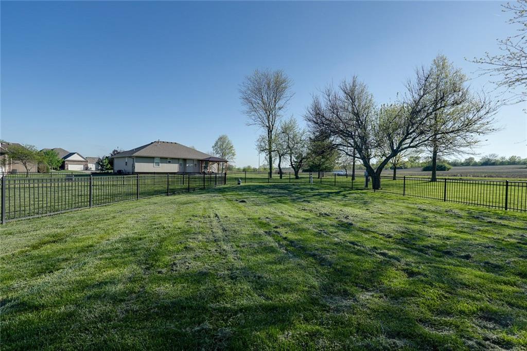 2010 Prairie Grass Drive Raymore, MO 64083 - Photo 50 of 53